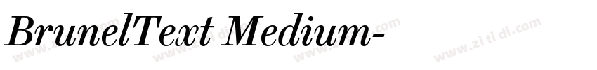 BrunelText Medium字体转换